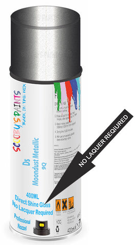 paint for Ds Ds3