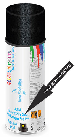 paint for Ds Ds5