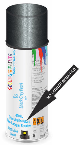 paint for Ds Ds5
