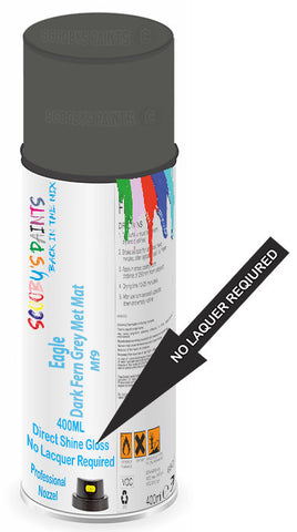 paint for Eagle Vision