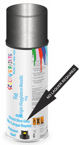 paint for Fiat Freemont