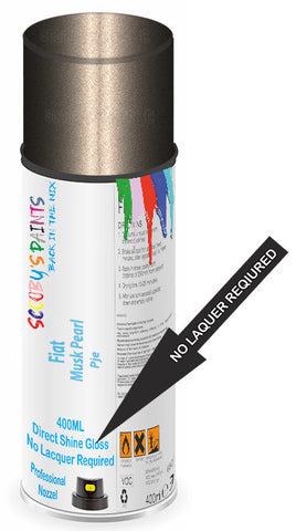 paint for Fiat 500