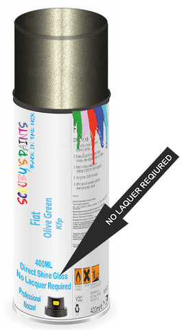paint for Fiat Freemont
