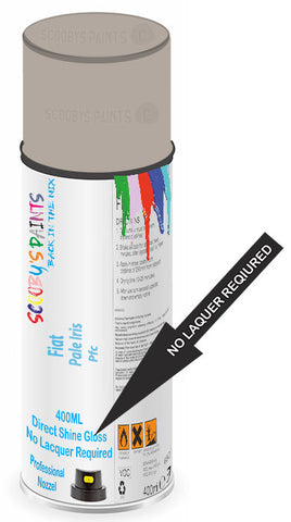 paint for Fiat 500 L