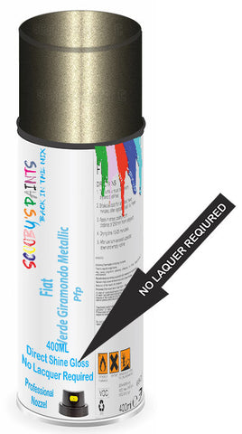 paint for Fiat Freemont