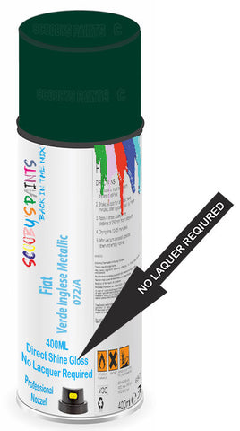 paint for Fiat Ducato