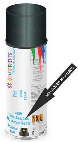 paint for Fiat Punto