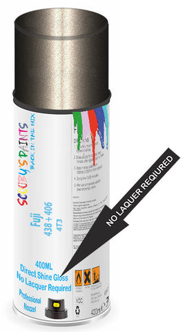 paint for Fuji All