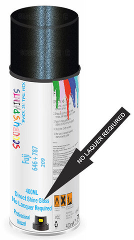 paint for Fuji All