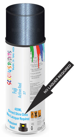 paint for Fuji All