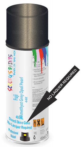 paint for Fuji All