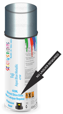 paint for Fuji All