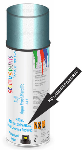 paint for Fuji All