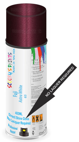 paint for Fuji All