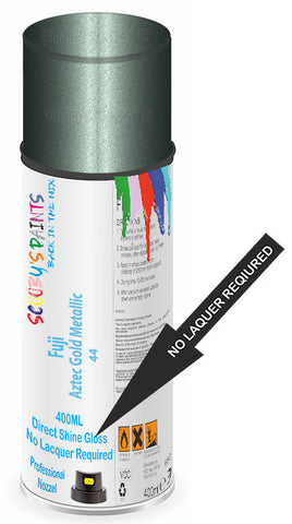 paint for Fuji All