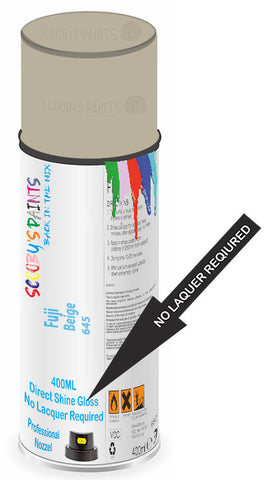 paint for Fuji All