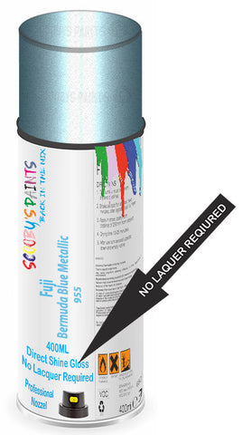 paint for Fuji All