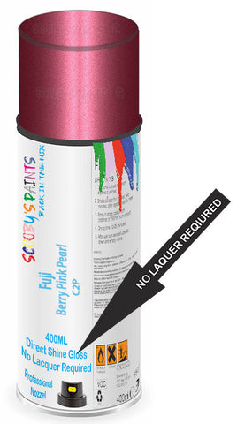 paint for Fuji All