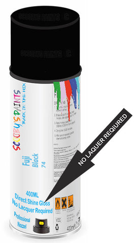 paint for Fuji All