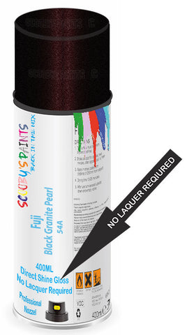 paint for Fuji All