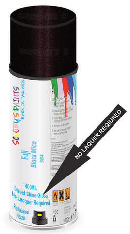 paint for Fuji All
