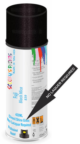 paint for Fuji All