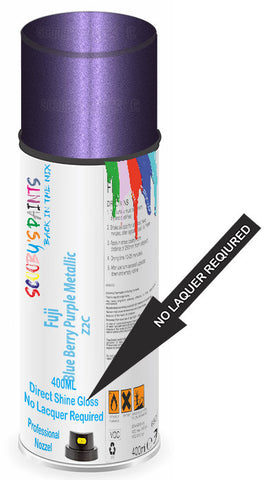 paint for Fuji All