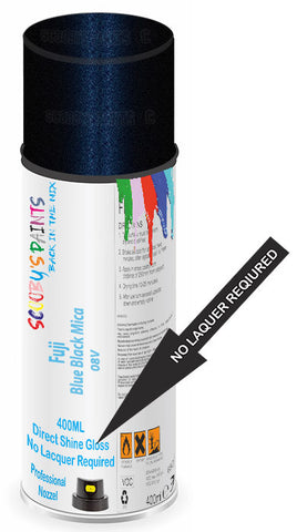 paint for Fuji All