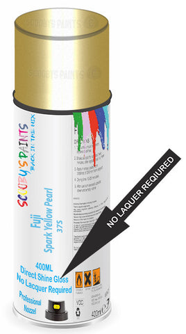 paint for Fuji All