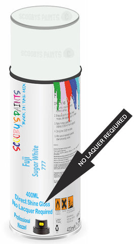 paint for Fuji All