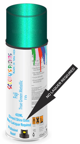 paint for Fuji All