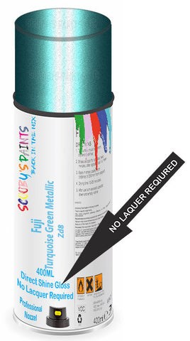 paint for Fuji All