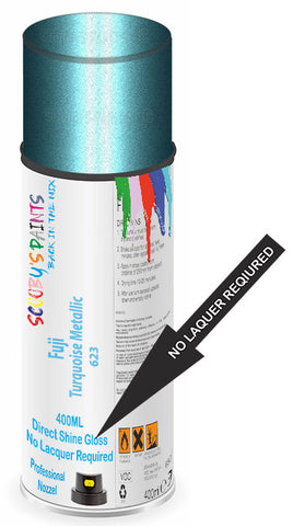 paint for Fuji All