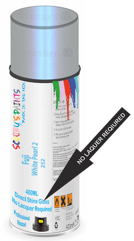 paint for Fuji All