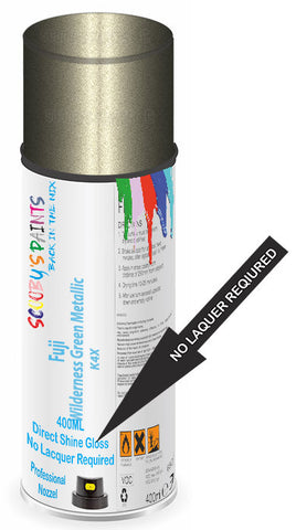 paint for Fuji All