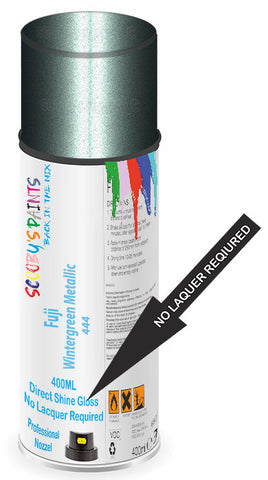 paint for Fuji All