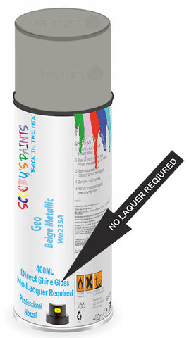 paint for Geo Prizm
