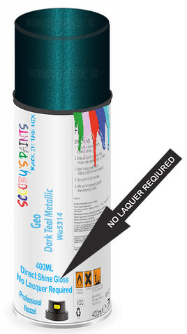 paint for Geo Prizm