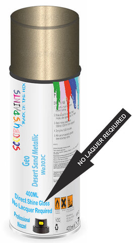 paint for Geo Prizm