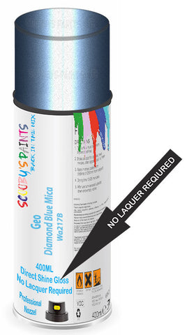 paint for Geo Prizm