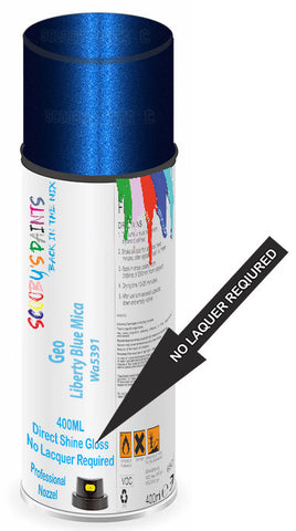paint for Geo Metro