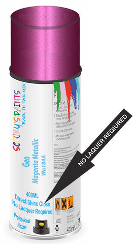 paint for Geo Metro