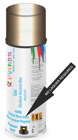 paint for Geo Prizm