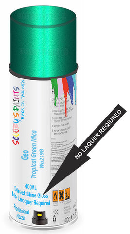 paint for Geo Prizm