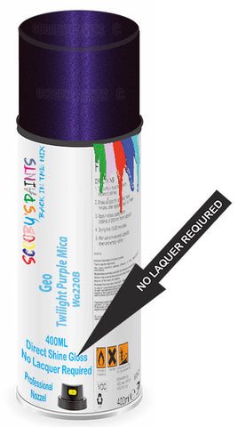 paint for Geo Prizm