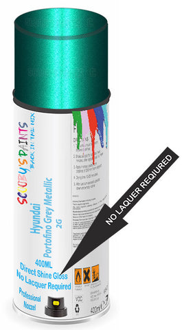 paint for Hyundai Sonata