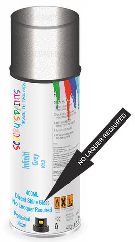 paint for Infiniti I30