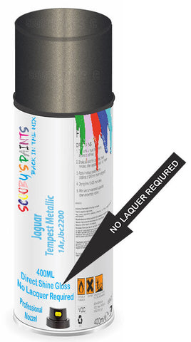 paint for Jaguar Xe