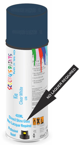 paint for Kia Picanto