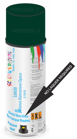paint for Lancia Ypsilon